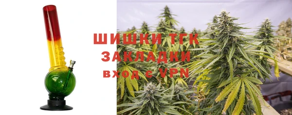 ГАЛЛЮЦИНОГЕННЫЕ ГРИБЫ Армянск