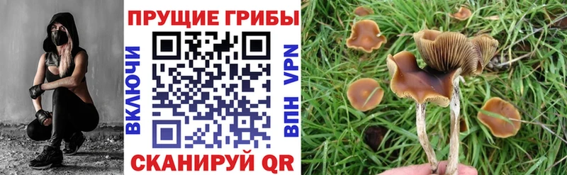 Псилоцибиновые грибы Magic Shrooms  Порхов 